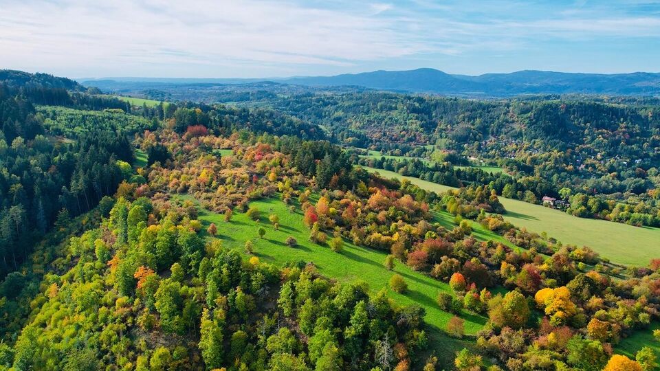 Hunt for the Sika Deer in the Doupov Mountains