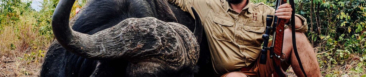 Buffalo hunting in Zimbabwe - story of the hunt for two Dagga Boys.