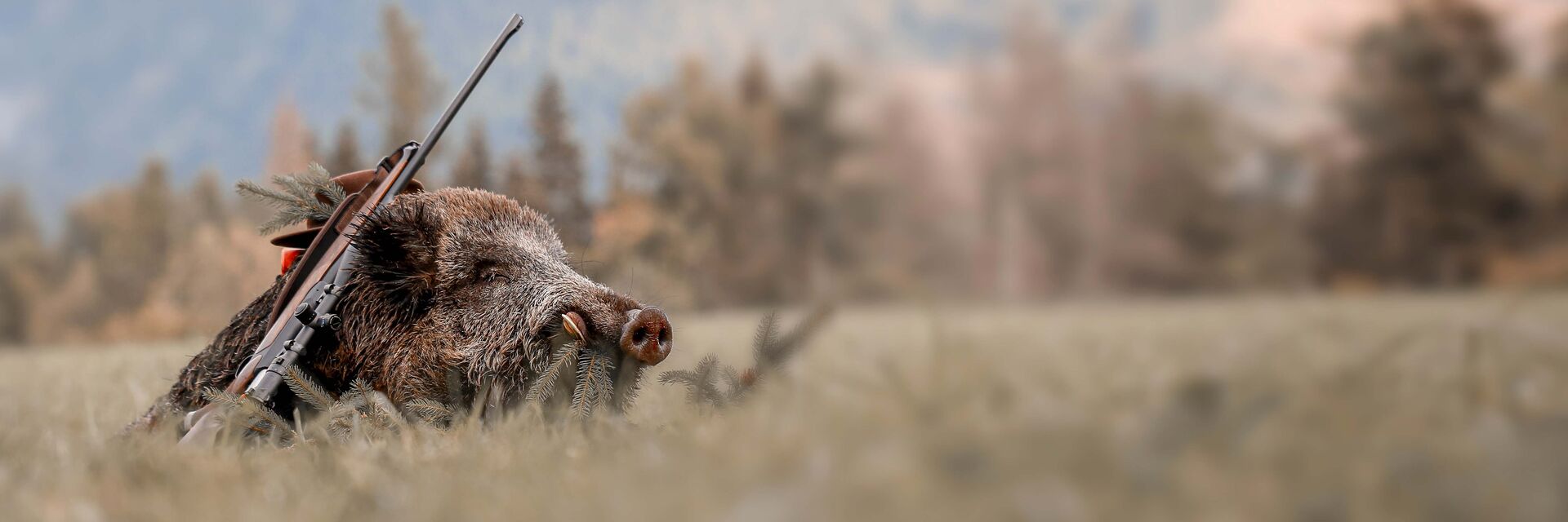 Driven hunt in Slovakia