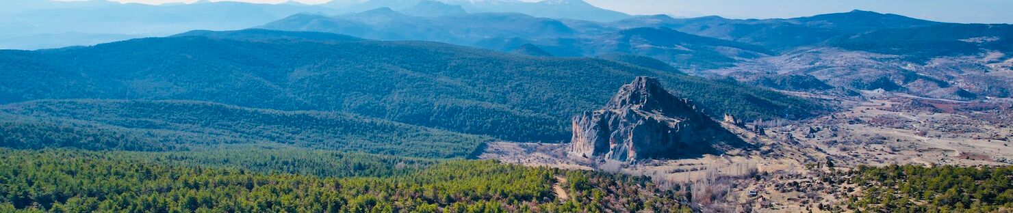 Turkey – a Paradise for Wild Boar Hunting